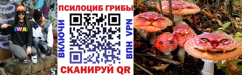 Галлюциногенные грибы Psilocybine cubensis  что такое   Петропавловск-Камчатский 