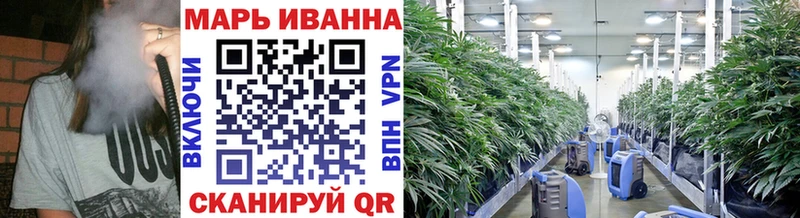 Шишки марихуана SATIVA & INDICA  Петропавловск-Камчатский 